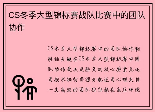 CS冬季大型锦标赛战队比赛中的团队协作