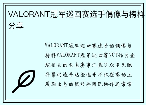 VALORANT冠军巡回赛选手偶像与榜样分享