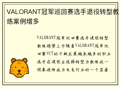 VALORANT冠军巡回赛选手退役转型教练案例增多